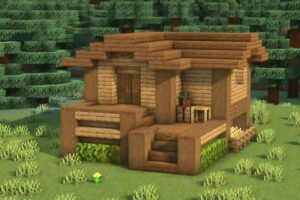 Novice to Architect (5)